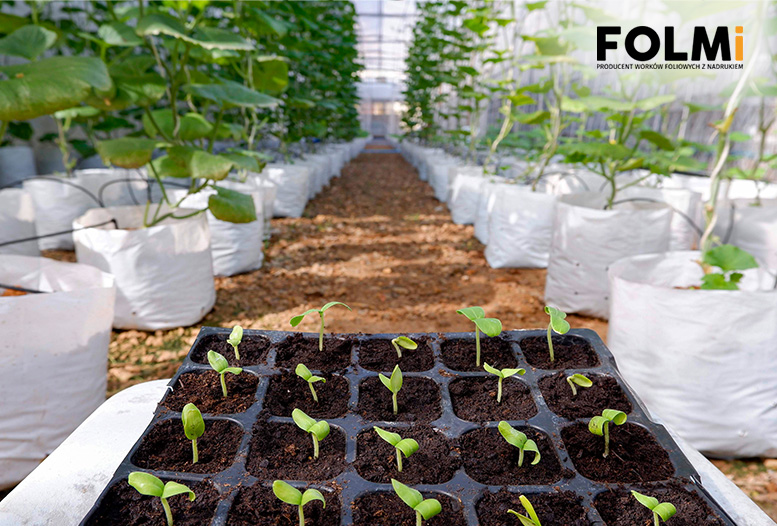 produkty-foliowe produkty-foliowe
